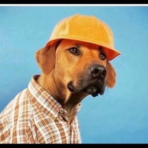 Meet your Posher, Aldo